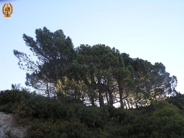 Encuentro 2013 279.JPG